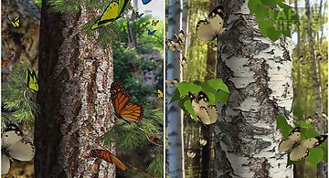 Butterflies 3d  Live Wallpaper
