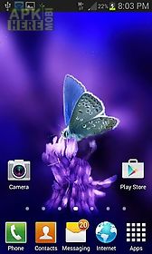 cute butterfly by daksh apps live wallpaper