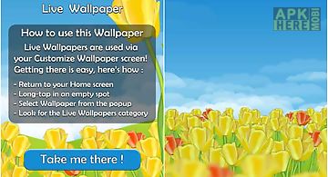 Dutch tulips 3d  Live Wallpaper