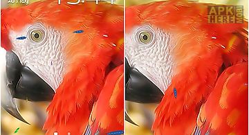 Parrot by ttr Live Wallpaper