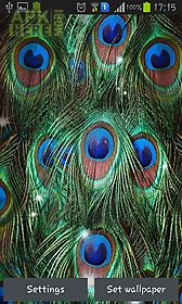 peacock feather live wallpaper