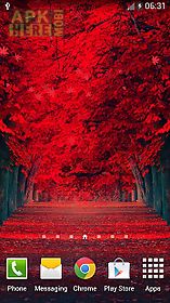 red leaves  live wallpaper