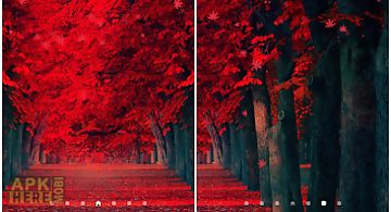 Red leaves  Live Wallpaper