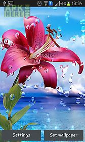 summer rain: flowers live wallpaper