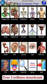 visual anatomy free