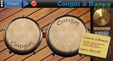 Congas & bongos