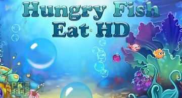 Hungry fish eat hd