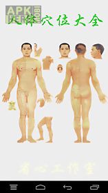 human acupuncture points chart