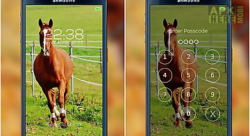 Horse password lock screen