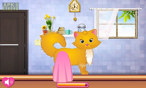 kitty grooming salon