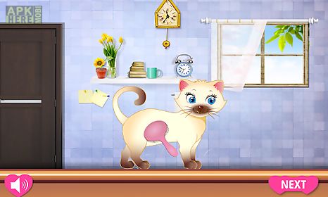 kitty grooming salon
