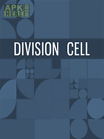 division cell