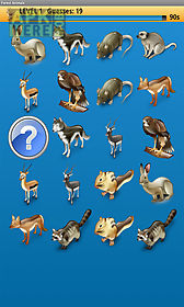 forest animale memory game free