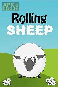 rolling sheep