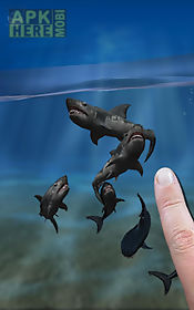 shark fingers 3d aquarium free