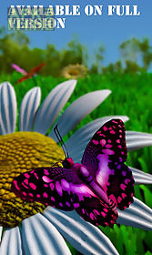  butterfly x live wallpaper