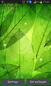 green leaves live wallpaper