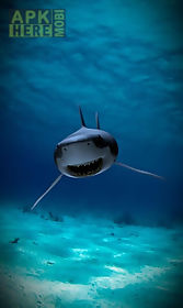 killer shark lwp free live wallpaper