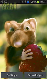 mouse with strawberries live wallpaper
