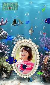 photo aquarium  live wallpaper
