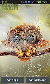 autumn little owl live wallpaper