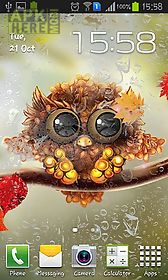 autumn little owl live wallpaper