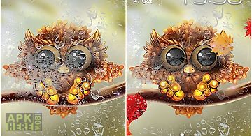 Autumn little owl Live Wallpaper