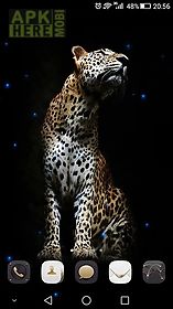 cheetah live wallpaper