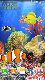 coral fish live wallpaper