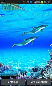 dolphins sounds live wallpaper