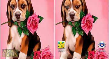 Puppy rose  Live Wallpaper