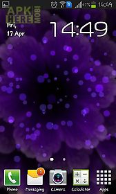 purple flower live wallpaper