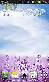 purple lavender live wallpaper