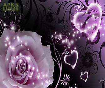 purple rose  live wallpaper