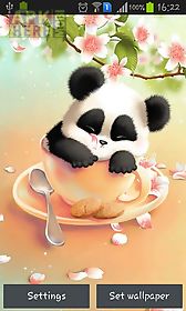sleepy panda live wallpaper