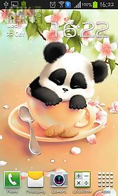 sleepy panda live wallpaper