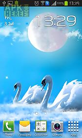 swans lovers: glow live wallpaper