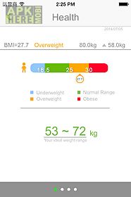 health scale